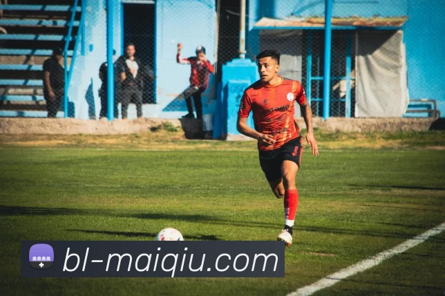 足球赛事分析服务体系